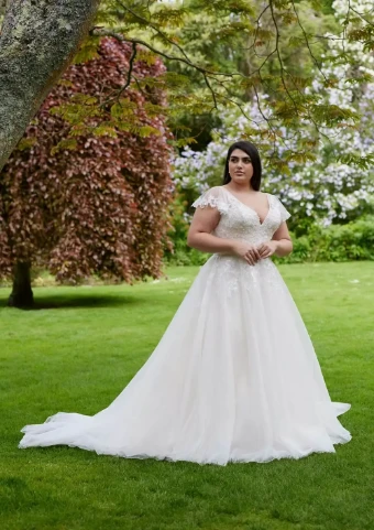 Special Day BB24948 #0 Ivory thumbnail