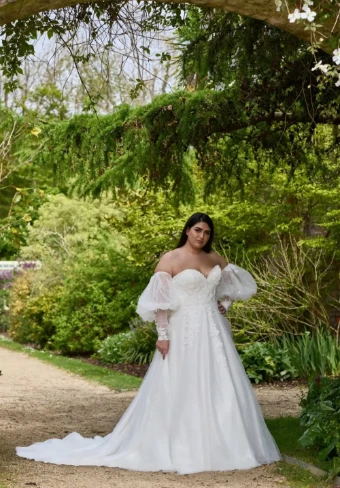 Special Day BB25256 #0 Ivory thumbnail