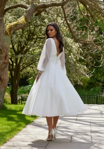 Special Day C24224 #0 Ivory thumbnail